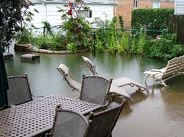 BackYard.jpg