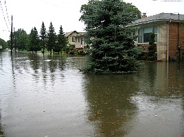 FrontNextHouse.jpg