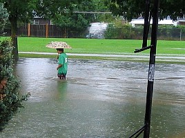 Street.jpg